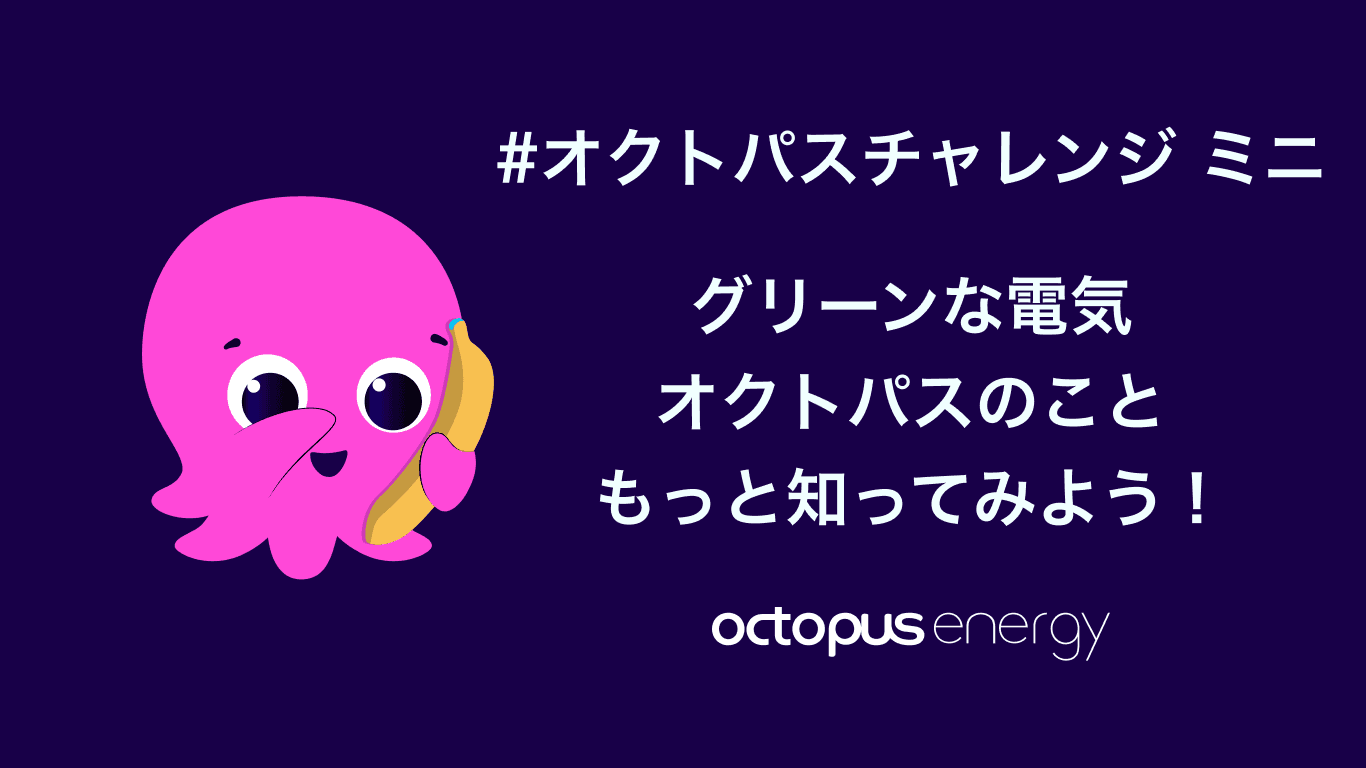 オクトパス・チャレンジ ミニ オクトーバークイズ