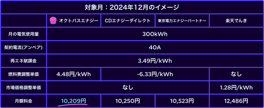 2024年12月の電気代比較表