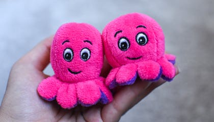Octopus toy