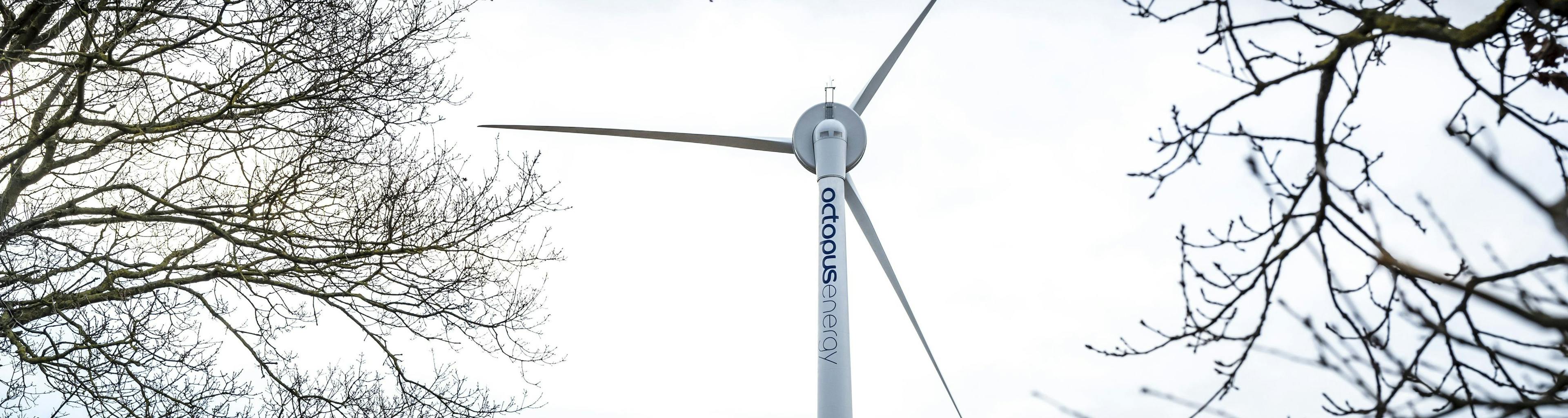 オクトパスエナジー所有の風車